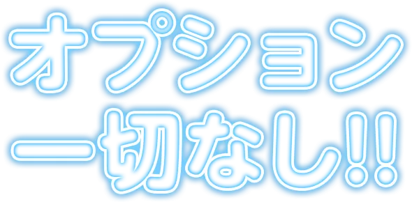 オプション一切なし！